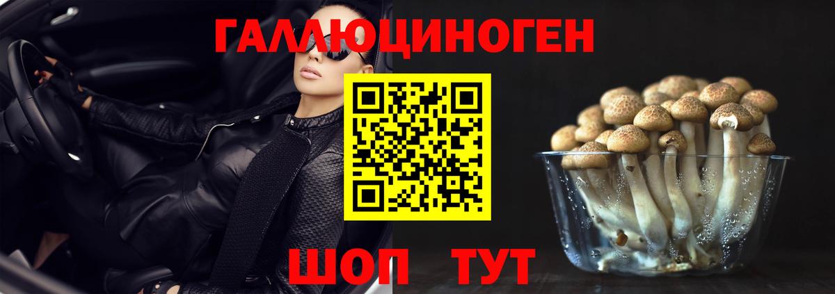 Псилоцибиновые грибы Psilocybe  Вход с VPN  Псилоцибиновые грибы Psilocybe  Бугульма 